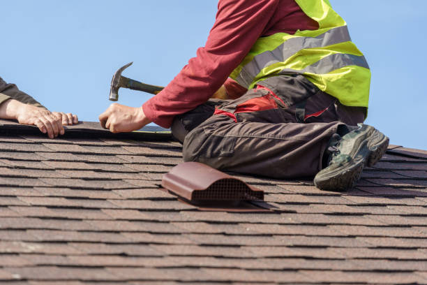 Best Roof Repair Services  in Ansted, WV