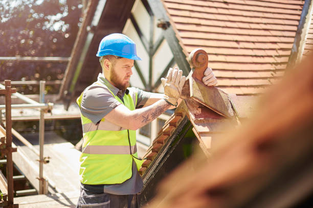 Best Metal Roofing Contractor  in Ansted, WV